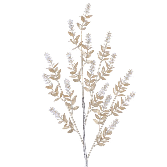 WINTER RUSCUS (PREORDER)