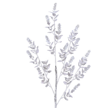 Buy platinum WINTER RUSCUS (PREORDER)