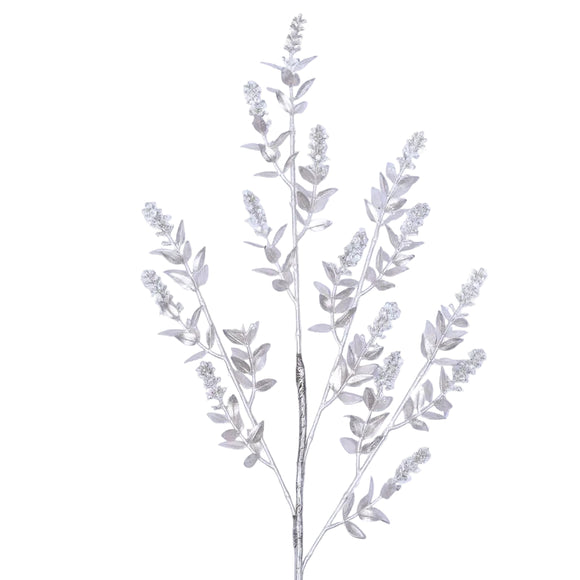 WINTER RUSCUS (PREORDER)