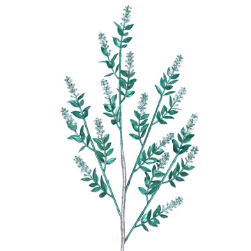 Buy emerald WINTER RUSCUS (PREORDER)