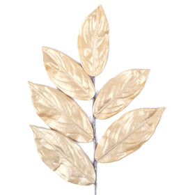 Buy gold MAGNOLIA LEAVES (PREORDER)