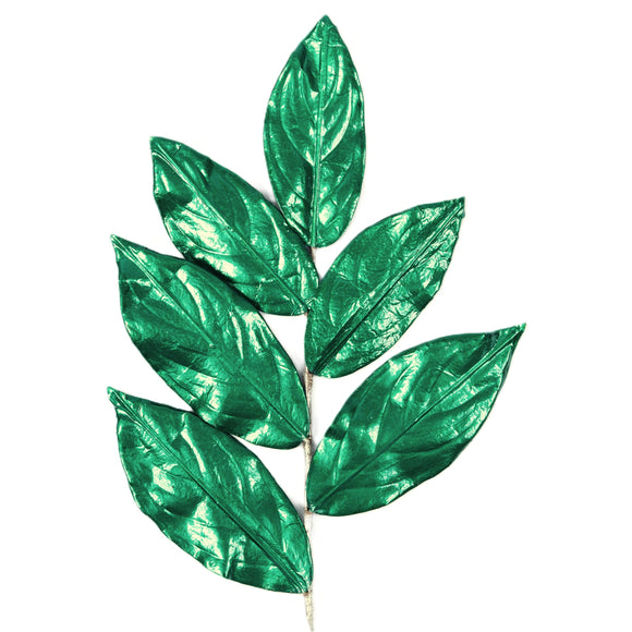 MAGNOLIA LEAVES (PREORDER)