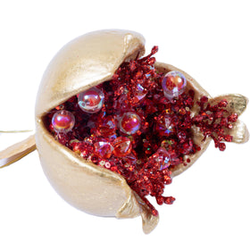 Buy red-and-gold CANDY APPLE POMEGRANATE (PREORDER)