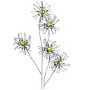 ROYAL WIDOW SPRAY (IN STOCK)-4