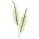 RAVEN PLUMES (IN STOCK)-3