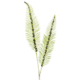 Buy lime RAVEN PLUMES (IN STOCK)