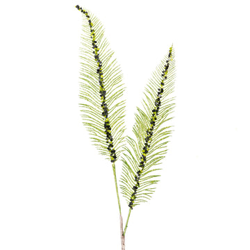 Buy lime RAVEN PLUMES (IN STOCK)