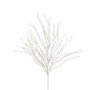 CURLY WILLOW (PREORDER)-3