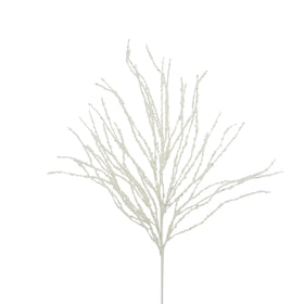 Buy white CURLY WILLOW (PREORDER)