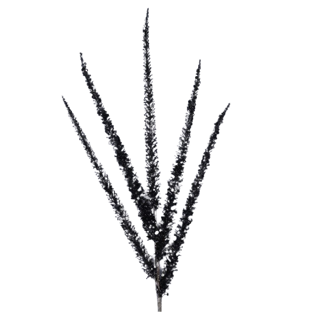 SPRUCE SPEARS (PREORDER)