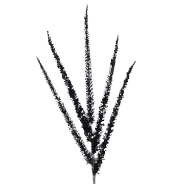 Buy black SPRUCE SPEARS (IN STOCK)