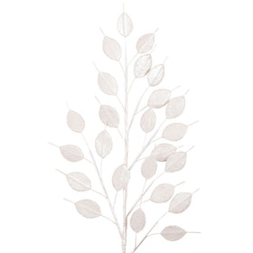 Buy white LUNARIA SPRAY (IN STOCK)