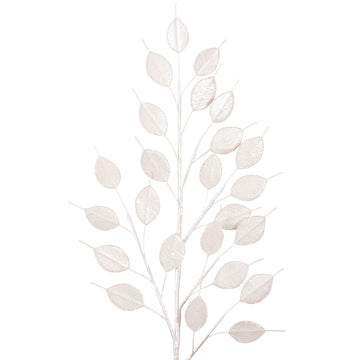 Buy white LUNARIA SPRAY (IN STOCK)