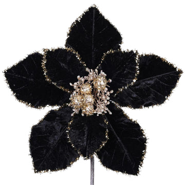 Buy black-gold TINSEL POINSETTIA (IN STOCK)