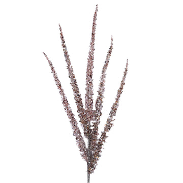 Buy cappuccino SPRUCE SPEARS (IN STOCK)