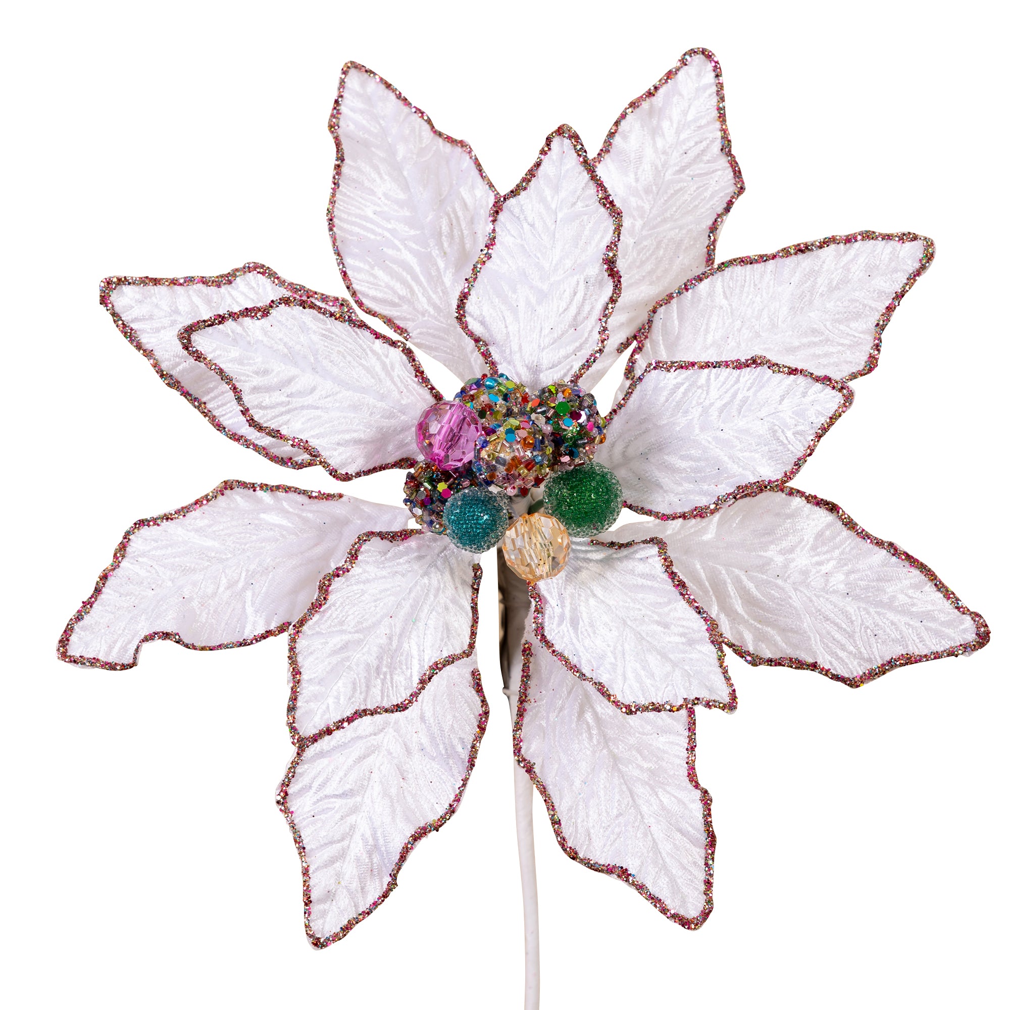 KALEIDOSCOPE POINSETTIA (IN STOCK)