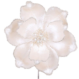 Buy ivory MYSTIC GRAND MAGNOLIA (IN STOCK)