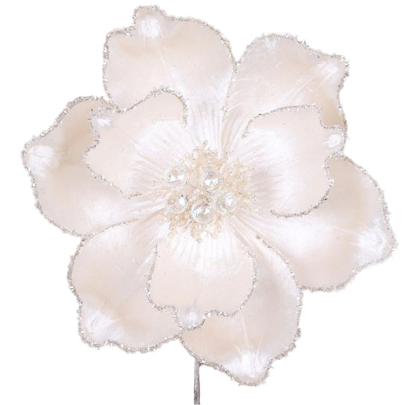 MYSTIC GRAND MAGNOLIA (IN STOCK)