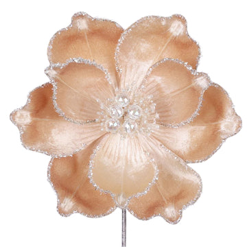 Buy champagne MYSTIC GRAND MAGNOLIA (IN STOCK)