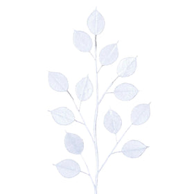 Buy pearl GILDED LUNARIA (PREORDER)