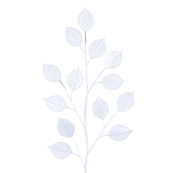 GILDED LUNARIA (PREORDER)