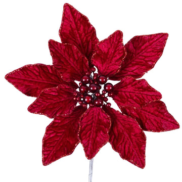 Buy ruby BERRY POINSETTIA (PREORDER)