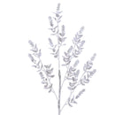 WINTER RUSCUS (PREORDER)-4