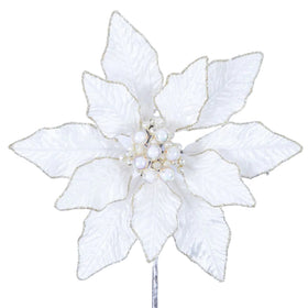 Buy ivory BERRY POINSETTIA (PREORDER)