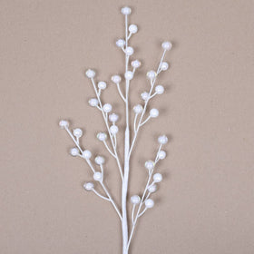 Buy white CANDY APPLE BERRIES (PREORDER)