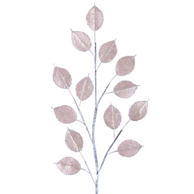 Buy pecan GILDED LUNARIA (PREORDER)