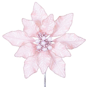 Buy light-pink BERRY POINSETTIA (PREORDER)