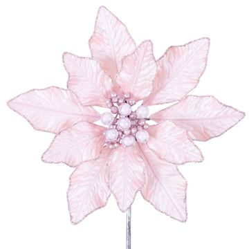 Buy light-pink BERRY POINSETTIA (PREORDER)