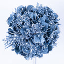 HYDRANGEA STEM (PREORDER)-3