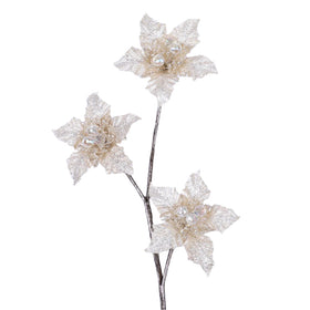 STAR SPRAY (IN STOCK)