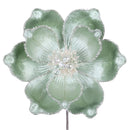 MYSTIC GRAND MAGNOLIA (IN STOCK)-5