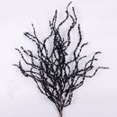 CURLY WILLOW (PREORDER)-10