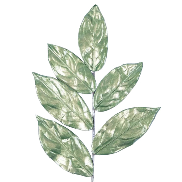 MAGNOLIA LEAVES (PREORDER)