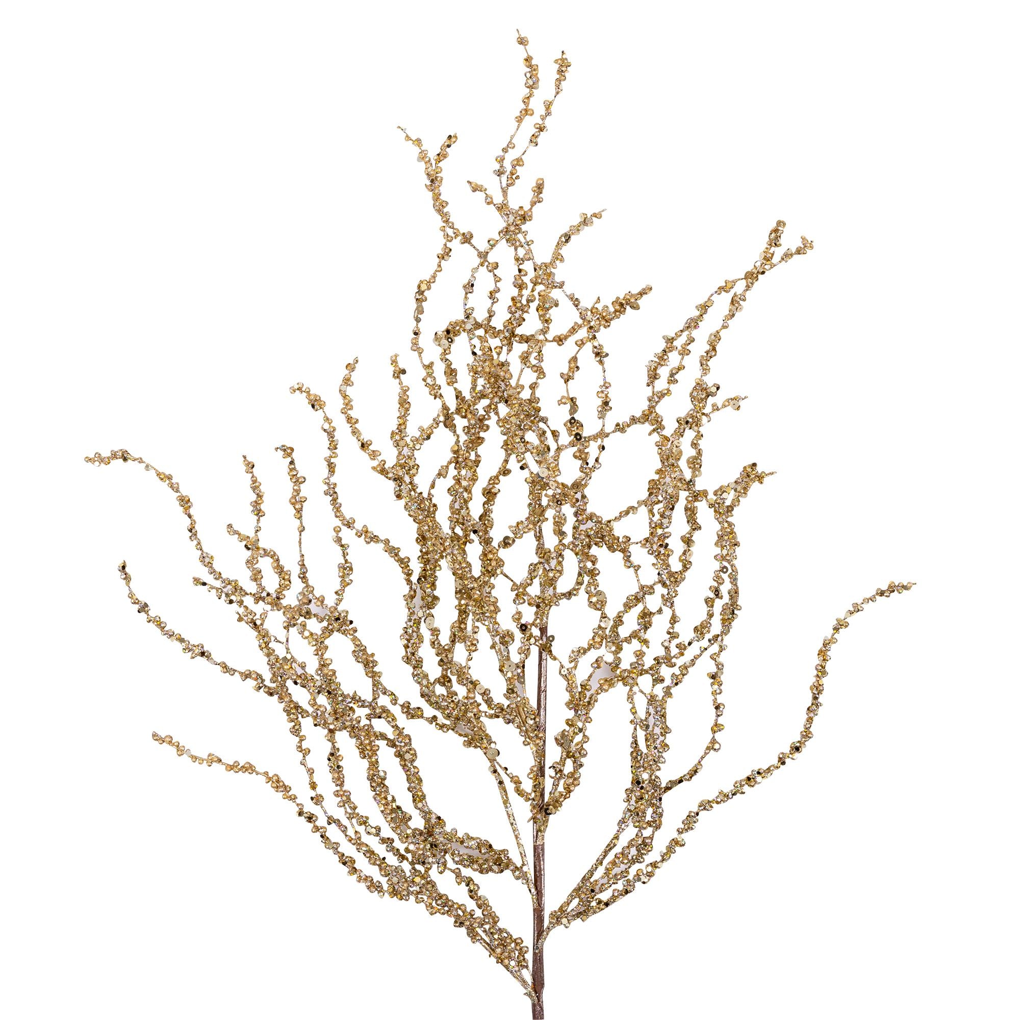 CURLY WILLOW (IN STOCK)