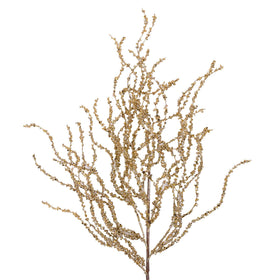 Buy gold CURLY WILLOW (IN STOCK)