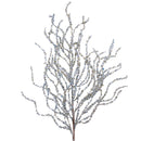 CURLY WILLOW (PREORDER)-8