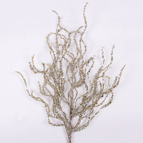 Buy platinum CURLY WILLOW (PREORDER)