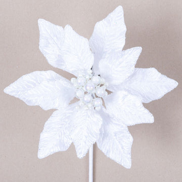 Buy white BERRY POINSETTIA (PREORDER)