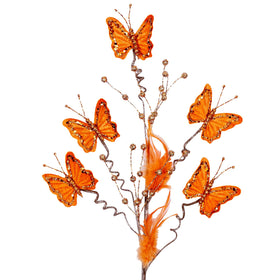 Buy orange BUTTERFLY SPRAY (PREORDER)