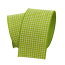 SPRING GINGHAM (IN STOCK)-4