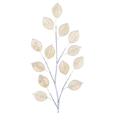 Buy gold GILDED LUNARIA (PREORDER)