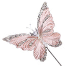 MYSTIC BUTTERFLY (IN STOCK)-4