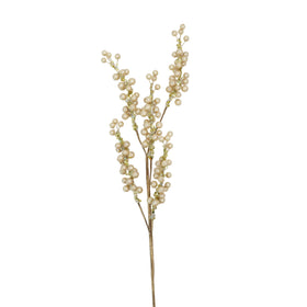 Buy champagne PEARL SPRAY (IN STOCK)