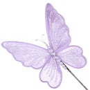 MAGICAL BUTTERFLY (IN STOCK)-6