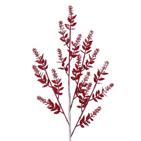 WINTER RUSCUS (PREORDER)