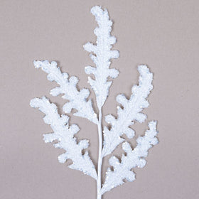 Buy white CRYSTAL ACANTHUS (PREORDER)